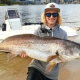 mulloway fish