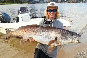 mulloway fish